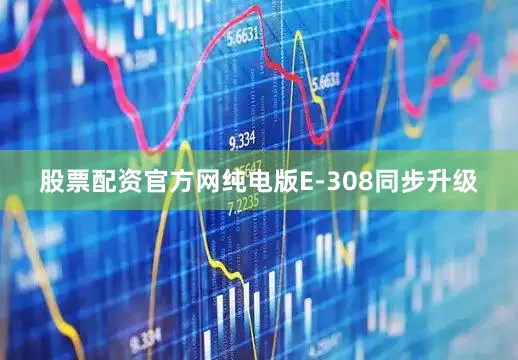 股票配资官方网纯电版E-308同步升级