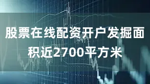 股票在线配资开户发掘面积近2700平方米