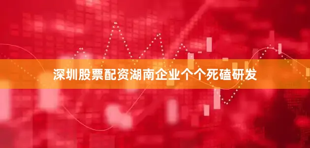深圳股票配资湖南企业个个死磕研发