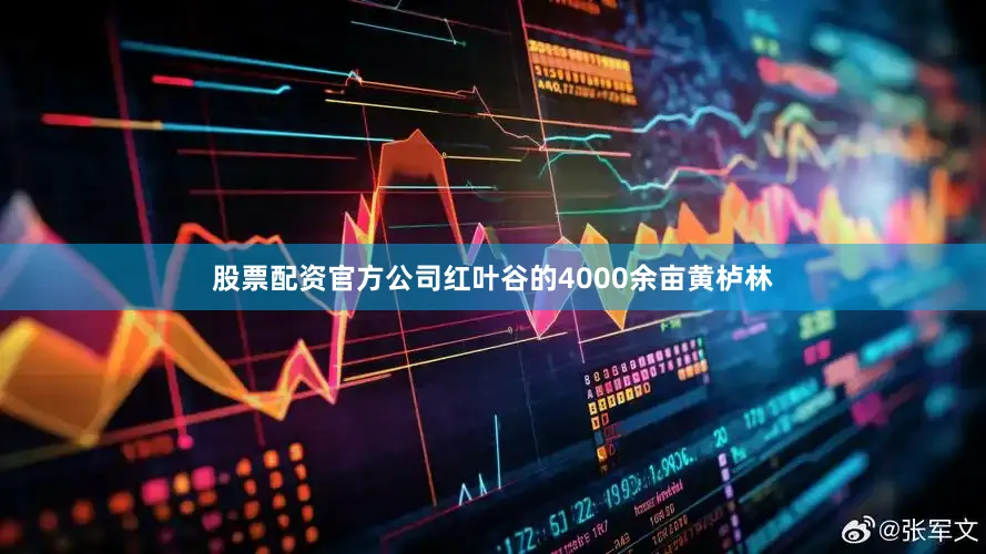 股票配资官方公司　　红叶谷的4000余亩黄栌林