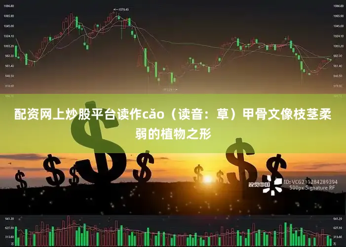 配资网上炒股平台读作cǎo（读音：草）甲骨文像枝茎柔弱的植物之形